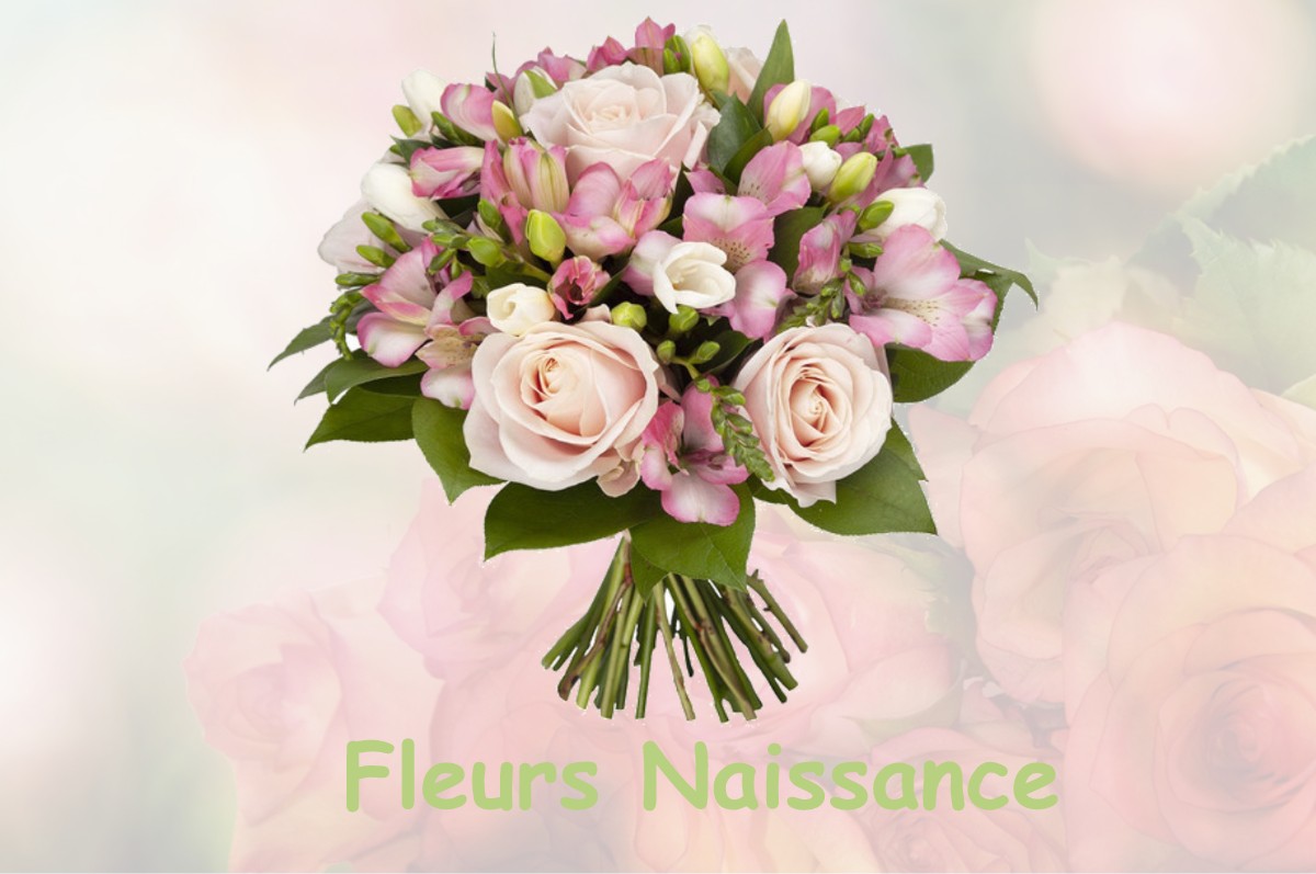 fleurs naissance FRESNAY-LE-COMTE