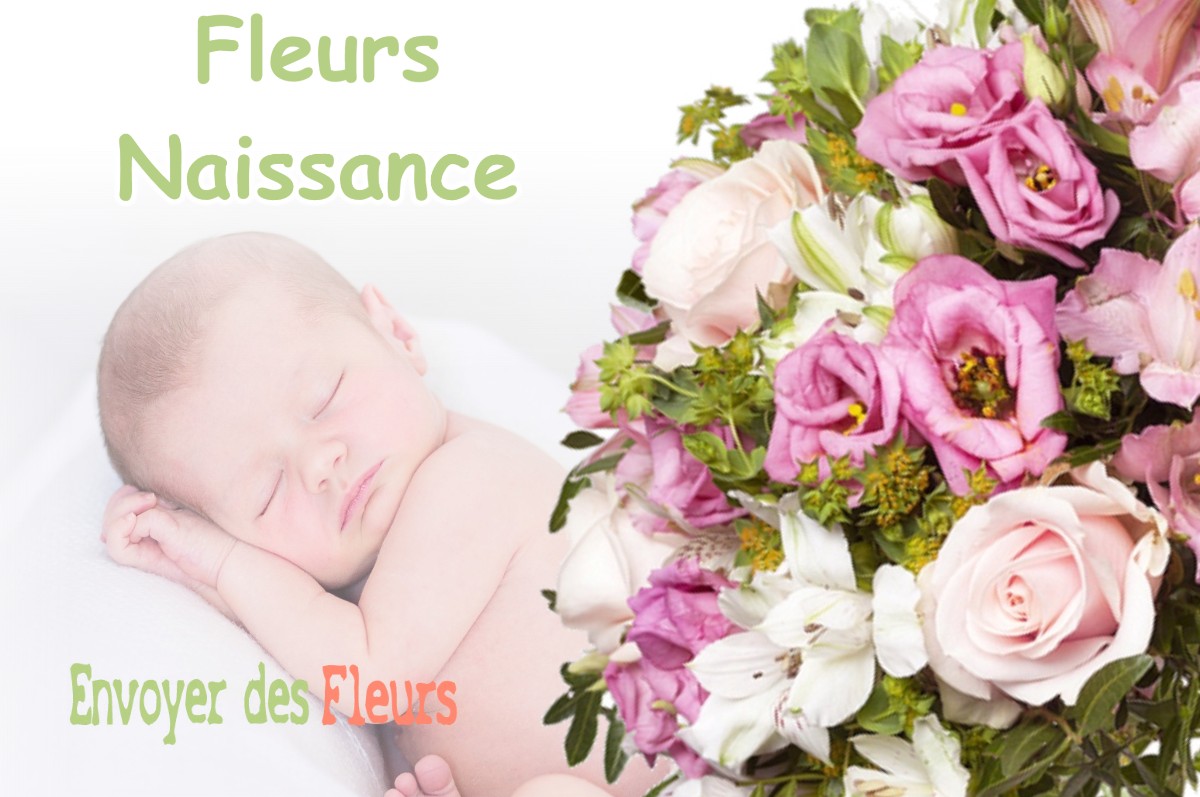 lIVRAISON FLEURS NAISSANCE à FRESNAY-LE-COMTE